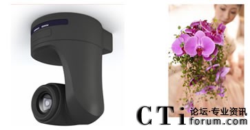 �������^���r��������